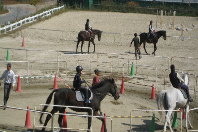 広島・乗馬】初心者向け、1対1の個人レッスン！体験乗馬1回コース