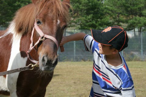 【広島・乗馬】初心者向け、1対1の個人レッスン！体験乗馬1回コース
