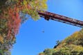 猿ヶ京の大自然に向かってジャンプ！高さ最大62mのブリッジバンジーにチャレンジ！