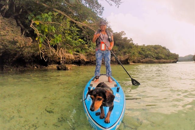 【石垣島・ガイドツアー 】愛犬との大冒険！カヌーに乗って行く無人島貸切ツアー