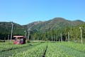 三重県鈴鹿市は、全国有数のお茶の産地として知られています。鈴鹿サーキットも有名ですね。