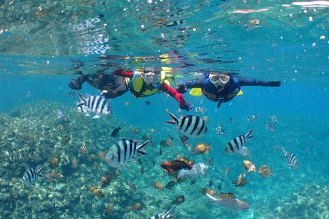 【那覇・シュノーケリング】ケラマ諸島の美しい海を堪能！3つのスポットでシュノーケリング