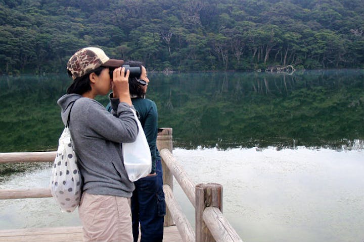 三宅島ネイチャーツアーマハナ