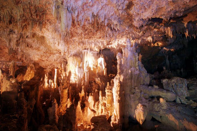 石垣島鍾乳洞は沖縄県石垣島にて、洞窟探検ツアーを主催しています。
