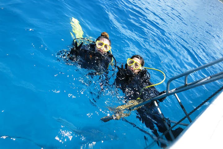 沖縄県国頭郡 体験ダイビング 水中と水面を楽しめる ボート体験ダイビング シュノーケリング アソビュー