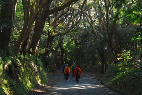 【東京・三宅島・トレッキング】三宅島の宝を見つけよう！宝探しトレッキング！
