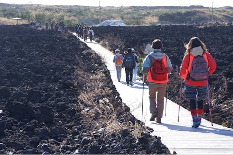 【東京・三宅島・トレッキング】ノルディックウォーキングで火山島を歩いてみよう！