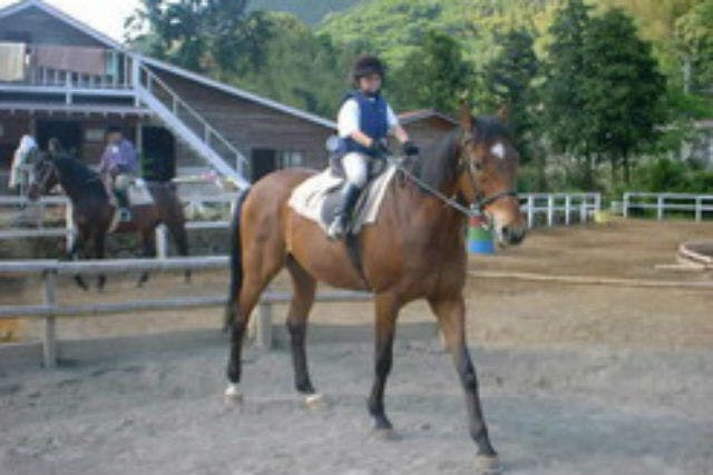 静岡県賀茂郡にある、乗馬クラブ。雄大な天城の自然に囲まれて、乗馬を楽しむことができます。