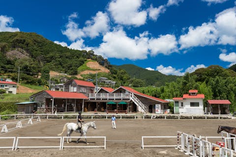 【静岡県東伊豆・乗馬体験】初めての方から、上級者まで！45分・ペアレッスン乗馬
