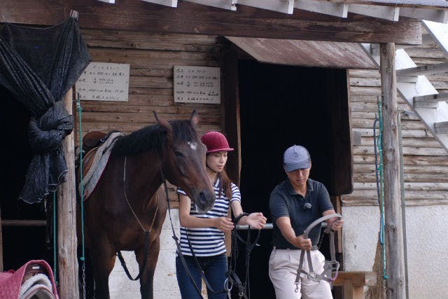 【静岡県東伊豆・乗馬体験】お客様のレベルに合わせて指導します！45分・レッスン乗馬