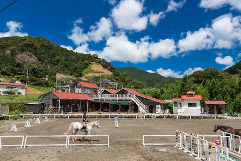 【静岡県東伊豆・乗馬体験】お客様のレベルに合わせて指導します！45分・マンツーマンレッスン乗馬