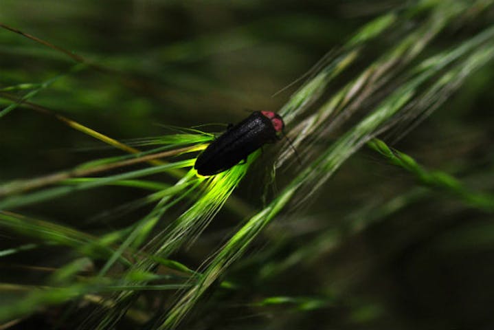 美杉リゾートInaka Tourism（いなかツーリズム）