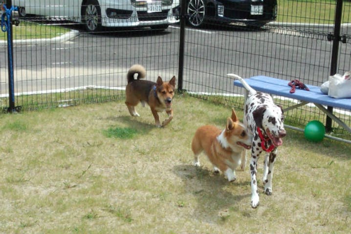 波賀不動滝公園 楓香荘 ふうかそう ネット予約ならアソビュー 波賀不動滝公園 楓香荘 ふうかそう ネット予約ならアソビュー