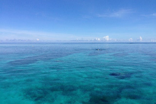 【宮古島・ファンダイビング】巨大なサンゴ礁・八重干瀬エリアで、3ダイブのボートダイビング