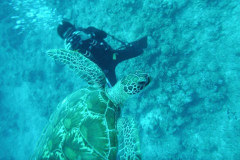 【宮古島・ファンダイビング・1回】ボートでポイントへGO！宮古の青い海を満喫！