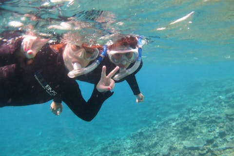 【宮古島・体験ダイビング・シュノーケリング】初めての方でも宮古の海を堪能できるお得プラン！