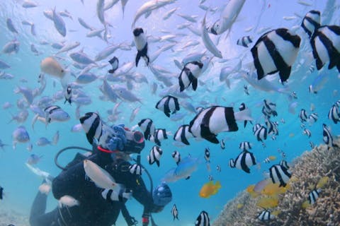 【宮古島・ビーチ体験ダイビング】初心者OK！貸切専属ガイド制！ロングダイブ！(1ダイブ)