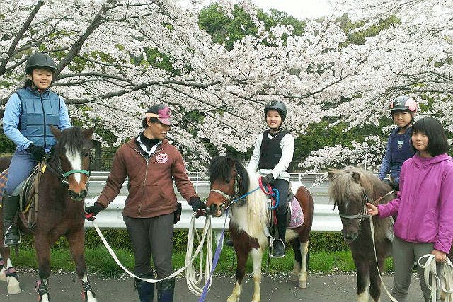 神奈川県相模原市にあるエクウスライディングファームでは、体験乗馬を行っています。