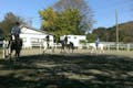 神奈川県相模原市で、キッズ向け乗馬スクールを開催しています。