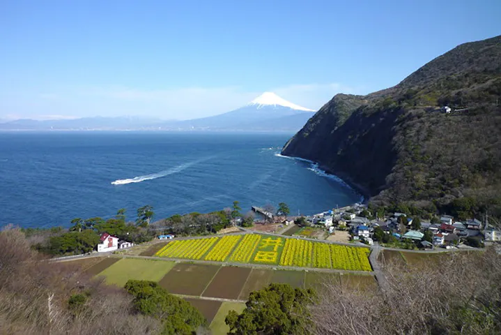 マリンクリエイト井田 ネット予約ならアソビュー