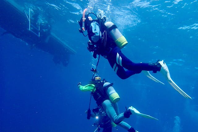 【沖縄・ファンダイビング・2ダイブ 】地形派ダイバーにオススメ！西海岸ボート2ダイブ