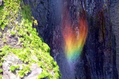知床・エコツアー】 原生林と断崖トレッキング☆知床岬眺望コース
