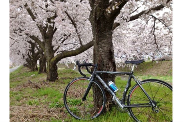 イワナアジルでは、長野県の原風景を楽しめるサイクリングツアーを開催しております。