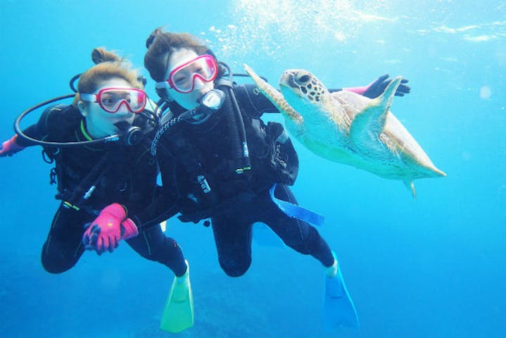 アルファダイブ沖縄