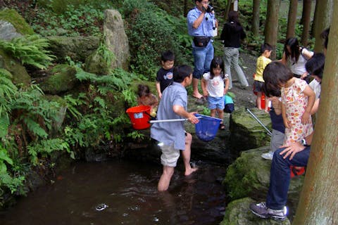 埼玉県長瀞 魚つかみ取り体験 q 山の恵みを満喫 湧き水の魚をつかみ取ろう アソビュー