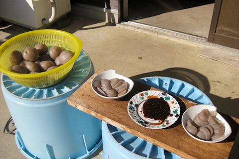 【静岡県浜松市・こんにゃく作り】初めての方でも楽しめる！こんにゃく作り体験