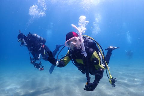 【静岡・西伊豆・シュノーケリング＋体験ダイビング】アウトドア派におススメプラン！10歳以上体験可能・ライセンス不要