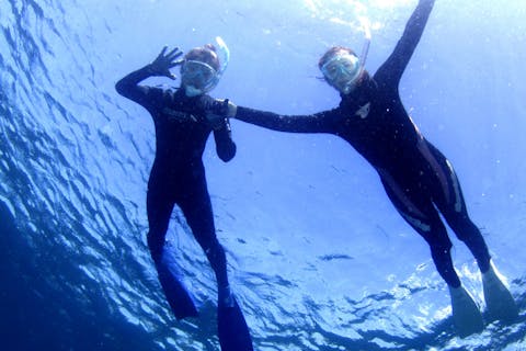 【静岡・西伊豆・シュノーケリング】経験者向けプラン！器材を借りて自由に1日シュノーケリング