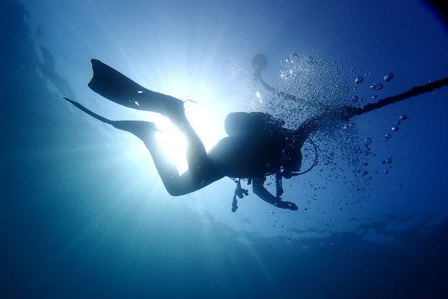 鹿児島 ファンダイビング 2回のダイブで海を満喫 秋目湾内ボートダイビング アソビュー