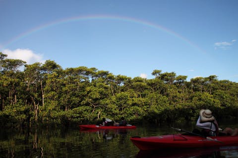 【西表島・カヌー・4時間コース】ダイナミックなピナイサーラの滝へ、カヌー＆トレッキング