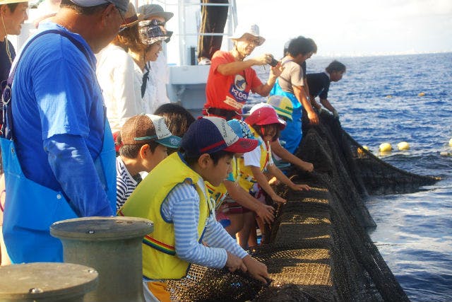 【沖縄・漁業体験】マンタやジンベイザメも！？何が捕れるかお楽しみ大型定置網漁体験