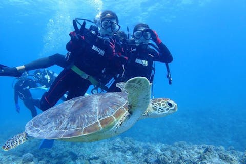 【沖縄・那覇発・慶良間開催・1日便】体験ダイビング＋シュノーケリング＋無人島上陸orホエールウォッチング｜ウミガメ遭遇率が高い！マリンスポーツ豊富♪ランチ・ドリンク・撮影写真付き