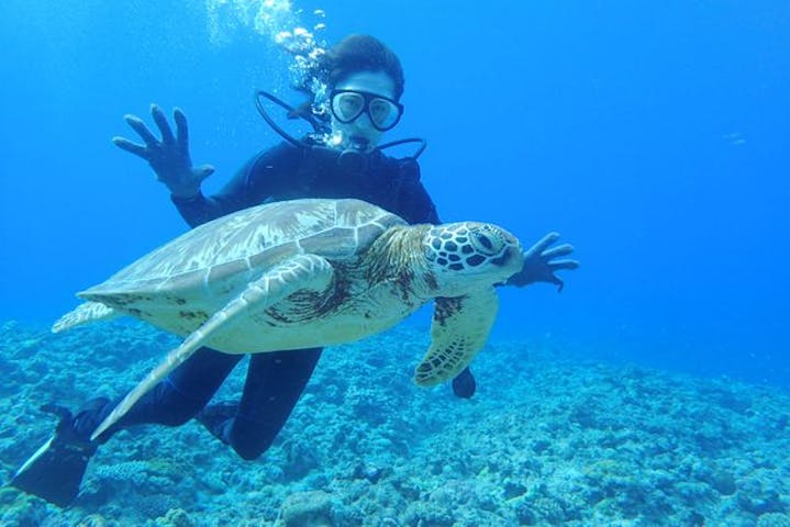 K S Marine Club ケイズマリンクラブ ネット予約ならアソビュー