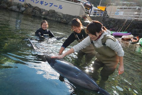 南伊豆のレジャー 遊び 体験予約 子供とのお出かけやデートのおすすめ アソビュー