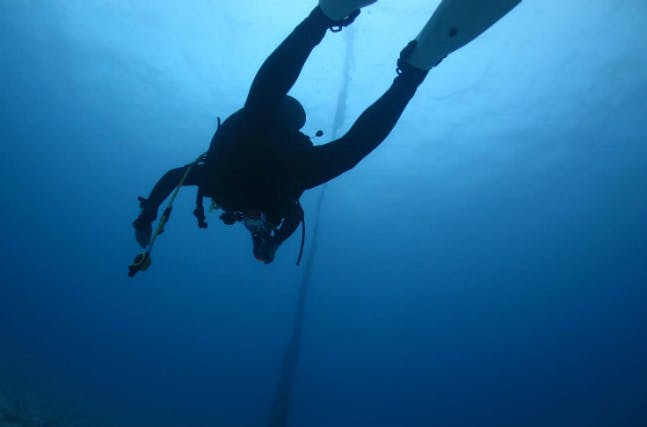 沖縄にある青の洞窟でダイビングしたいなら、Diving20がおすすめです。