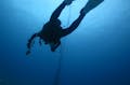 沖縄にある青の洞窟でダイビングしたいなら、Diving20がおすすめです。