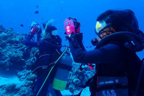 【沖縄・本部町・ファンダイビング】2ボートファンダイビング