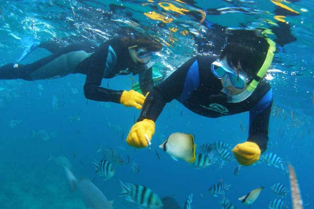 SEAJOY沖縄の割引プラン