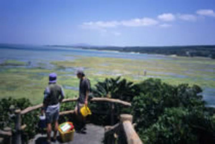 沖縄 エコツアー 不思議でおもしろい海の生き物と出会う 沖縄リーフトレイル アソビュー