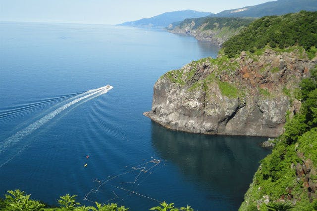 北海道 知床 エコツアー 森と海 絶景の連続 原生林体験と知床半島