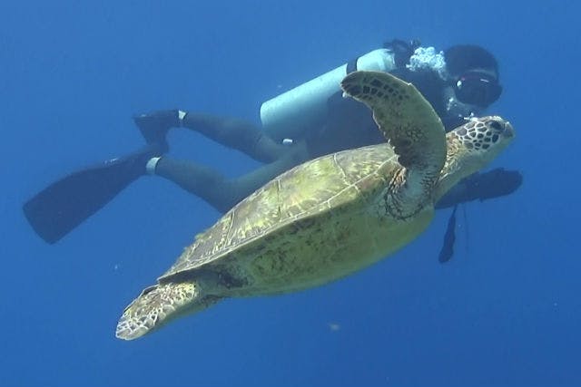 沖縄アクアライフ AQUA LIFEの最新写真