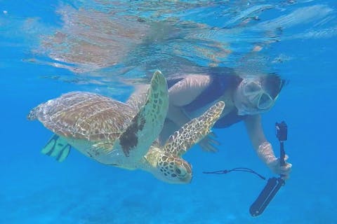 那覇／慶良間日帰り】2025夏期限定！チャータークルーザーで行く！慶良