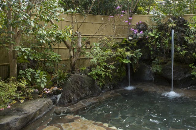 神奈川県の厚木飯山温泉 元湯旅館です。昔ながらの気品ある旅館で日帰り温泉はいかがですか。