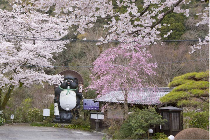 厚木飯山温泉 元湯旅館 ネット予約ならアソビュー