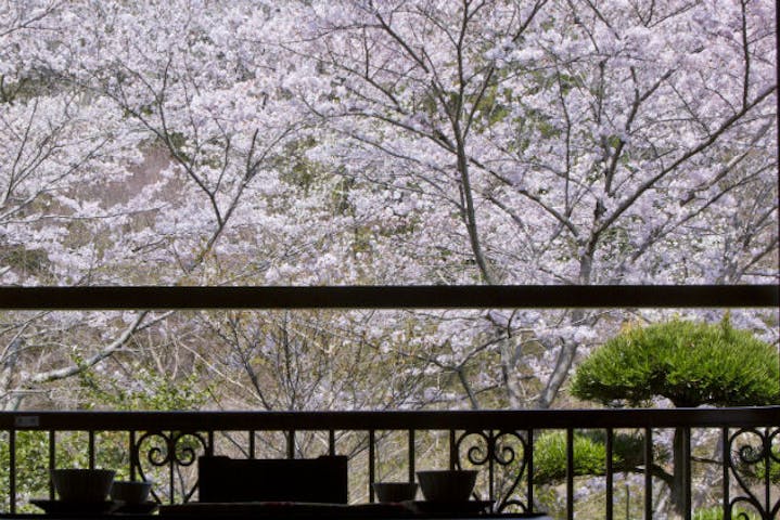 厚木飯山温泉 元湯旅館 ネット予約ならアソビュー 厚木飯山温泉 元湯旅館 ネット予約ならアソビュー