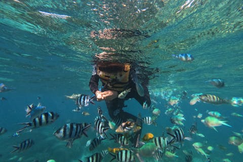 【 浜比嘉島 バナナボート 】13種類から選んで遊べる【遊び放題３時間プラン】